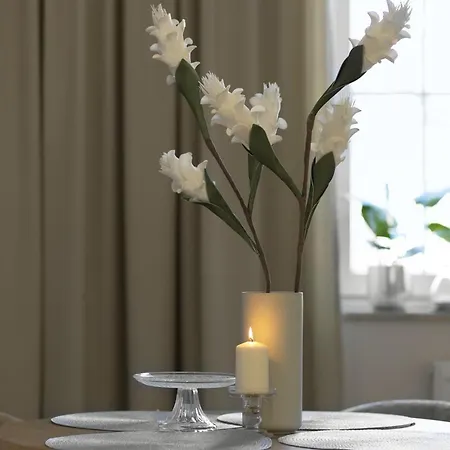 Elite Aura Old Town *