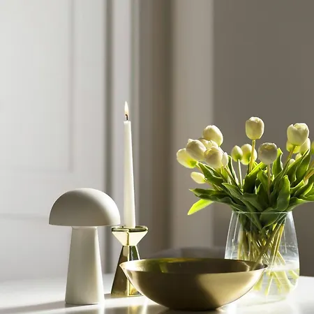 Elite Aura Old Town *