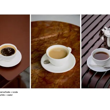 Elite Aura Old Town グダニスク