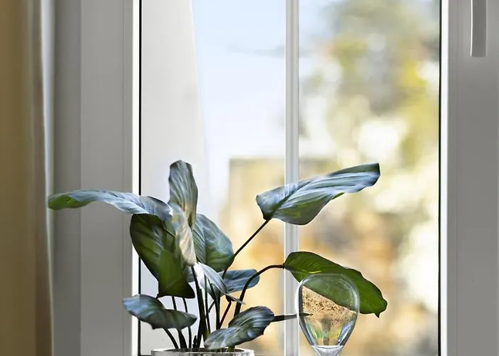 아파트 Elite Aura Old Town 그단스크